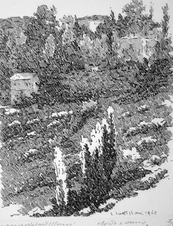 Água-Forte Castellani - Costa Avernio