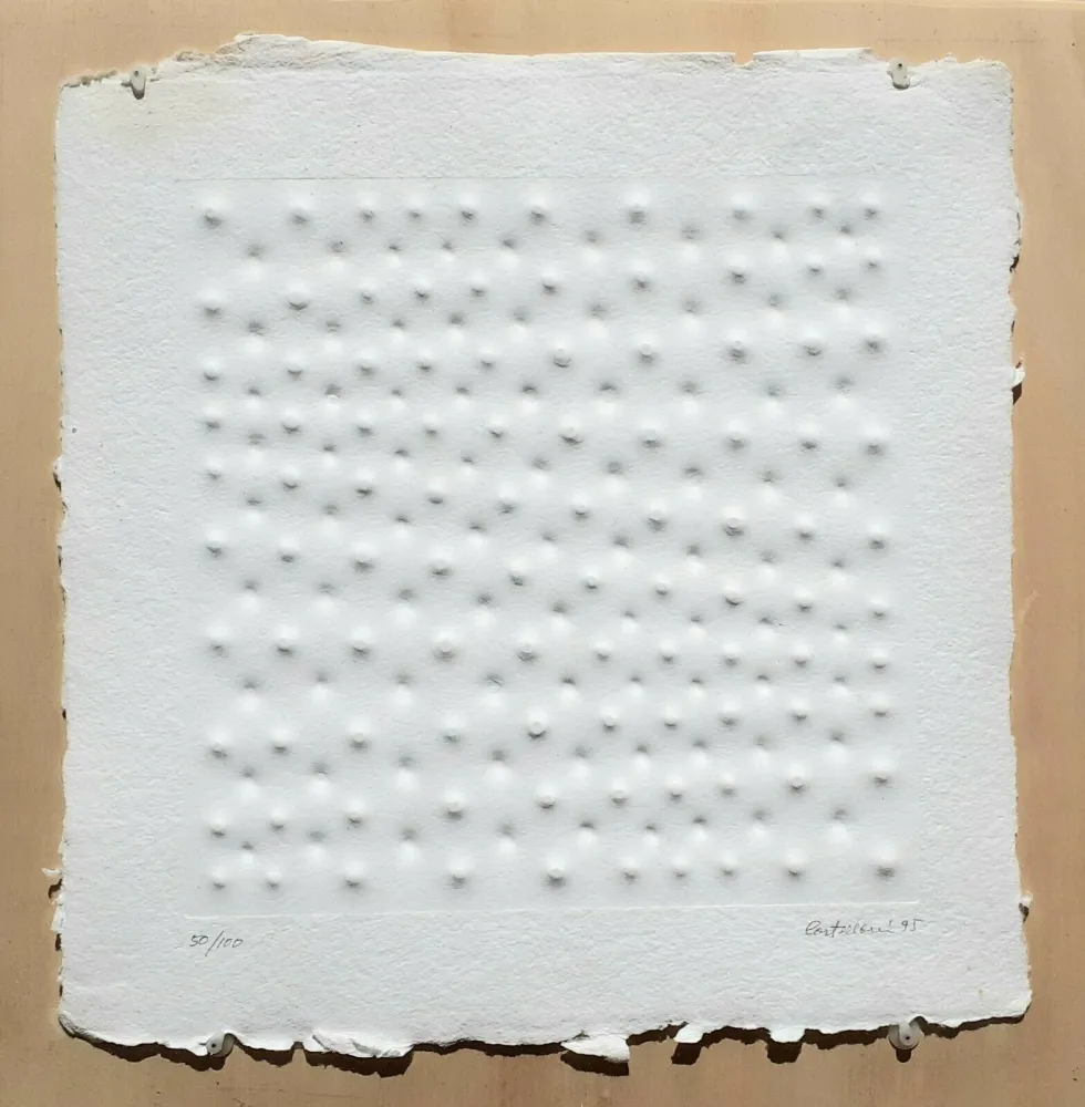 Relevo Castellani - Superficie