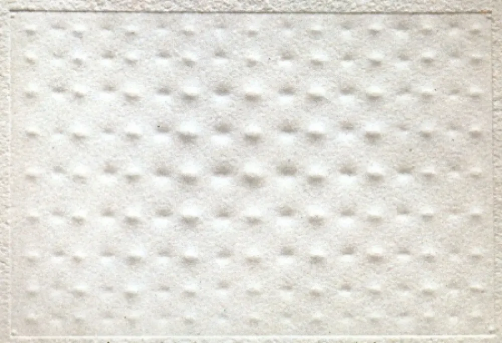 Relevo Castellani - Superficie Bianca