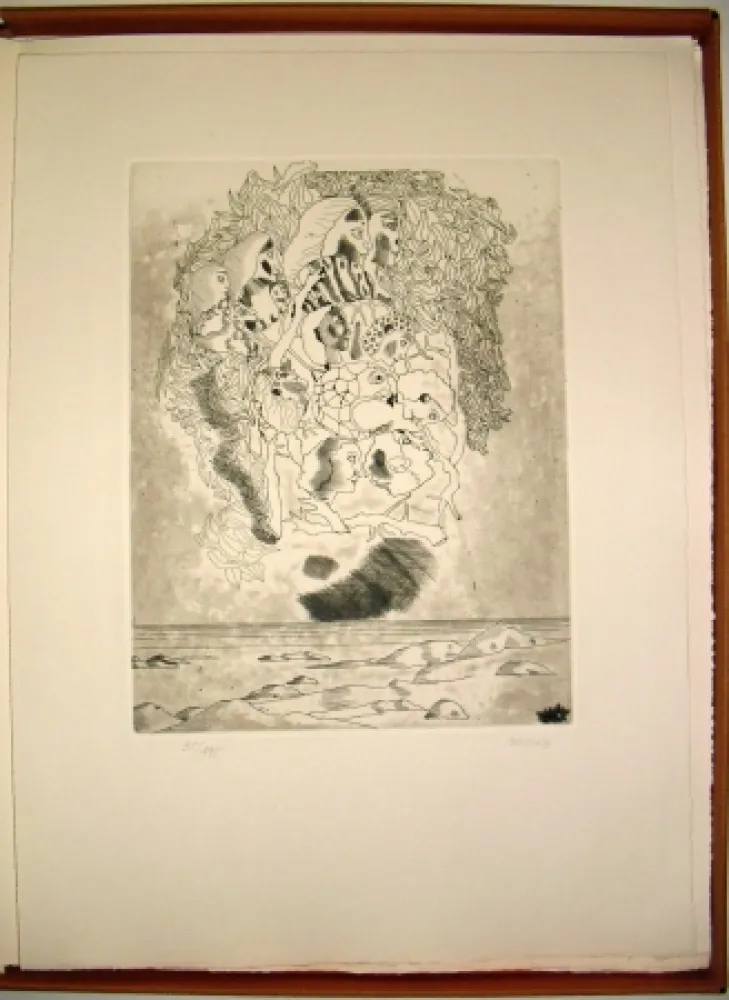 Livro Ilustrado Castillo - Canta a Sola Lisi