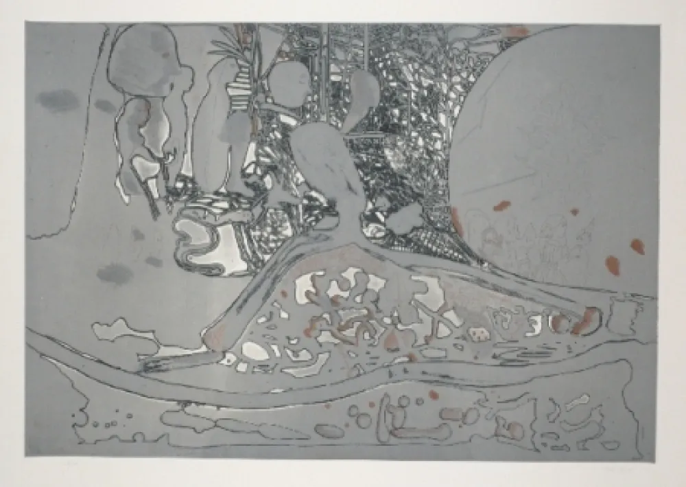 Água-Forte E Água-Tinta Castillo - Jardin de invierno 2