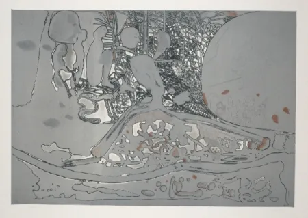 Água-Forte E Água-Tinta Castillo - Jardin de invierno 2