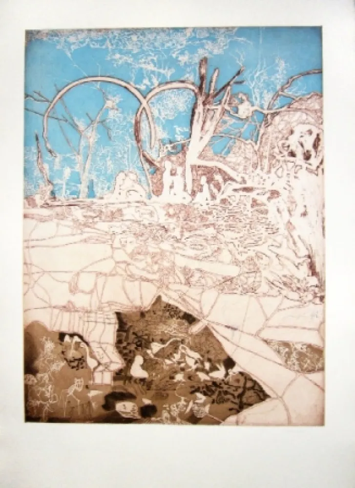 Água-Forte E Água-Tinta Castillo - Tiergarten