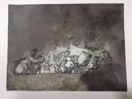 Sem Técnica Castillo - Vista de Grünewald