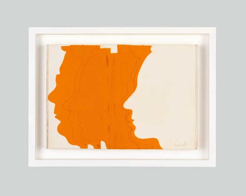 Múltiplo Ceroli - I centocolori