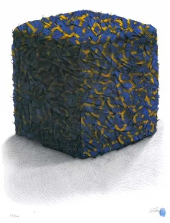 Serigrafia Cesar - Portrait comp. drapeaux Suédois