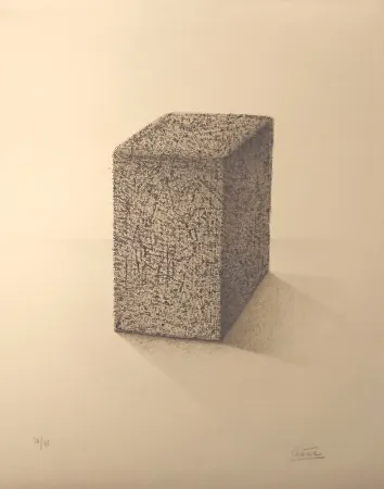 Litografia Cesar - ' Portrait de Compression '