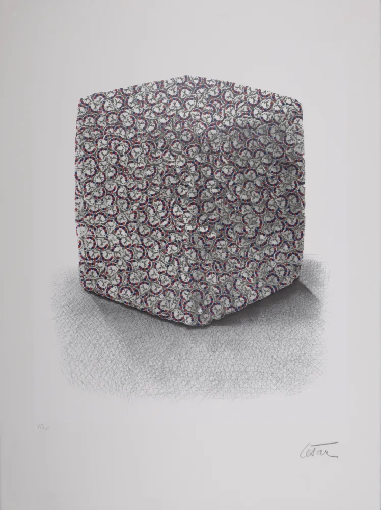 Serigrafia Cesar - Portrait de Compression, C. 1980-1985