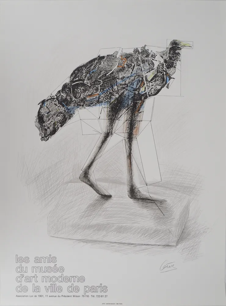 Livro Ilustrado Cesar - Poule en marche