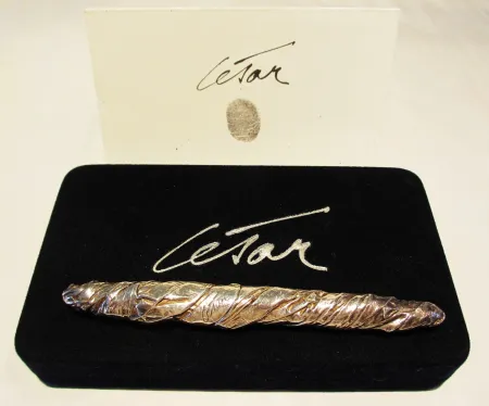 Múltiplo Cesar - Sculpture stylo plume