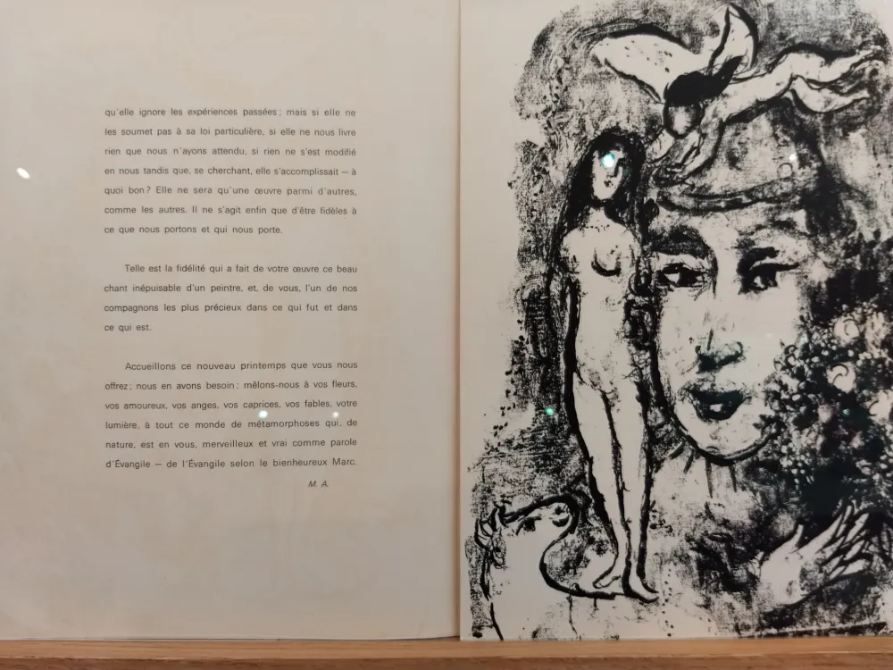 Livro Ilustrado Chagall - DLM 147