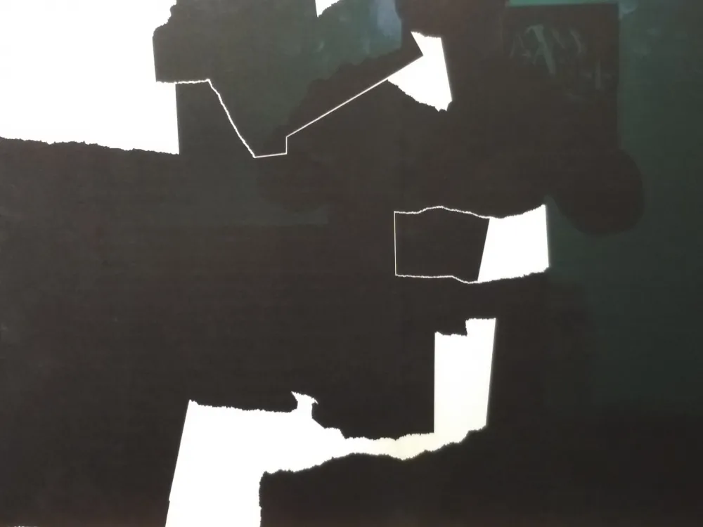 Livro Ilustrado Chillida - DLM 124