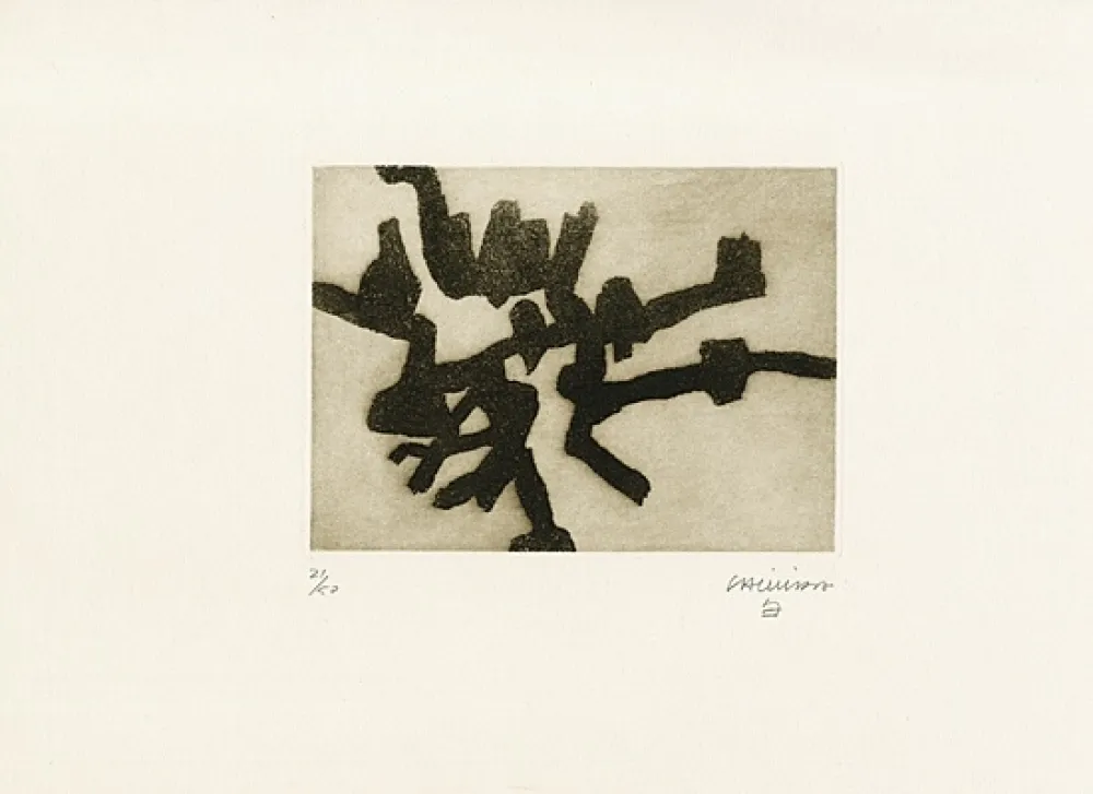 Água-Forte E Água-Tinta Chillida - Ibili I