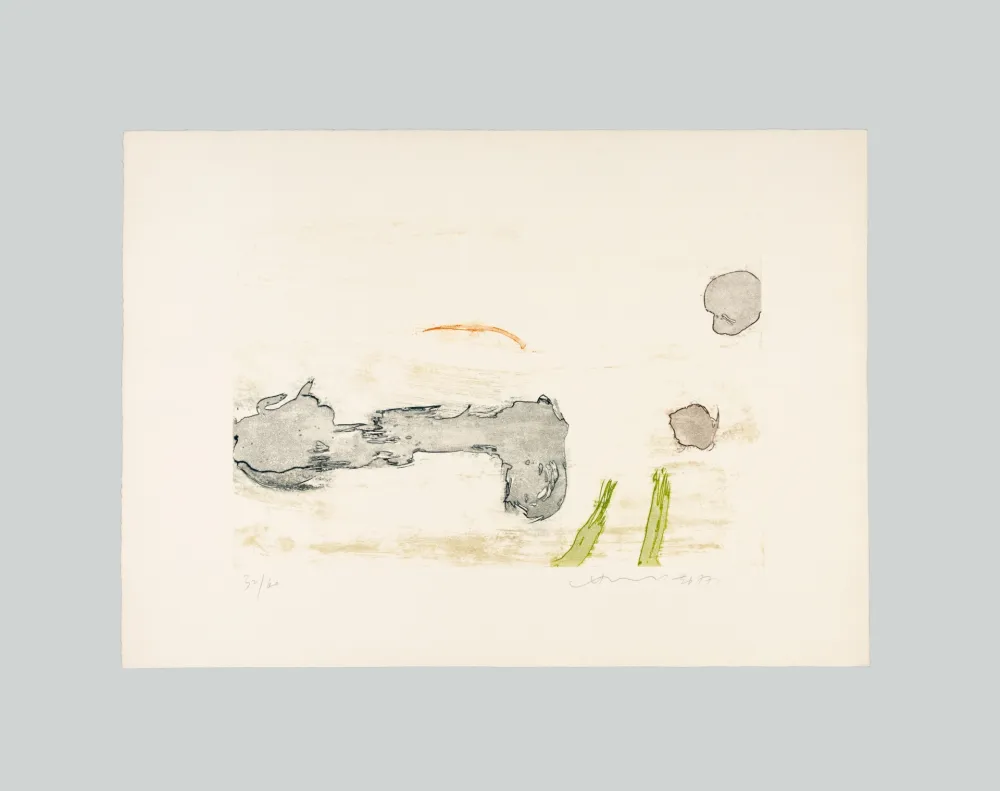 Água-Forte E Água-Tinta Chin - Senza titolo