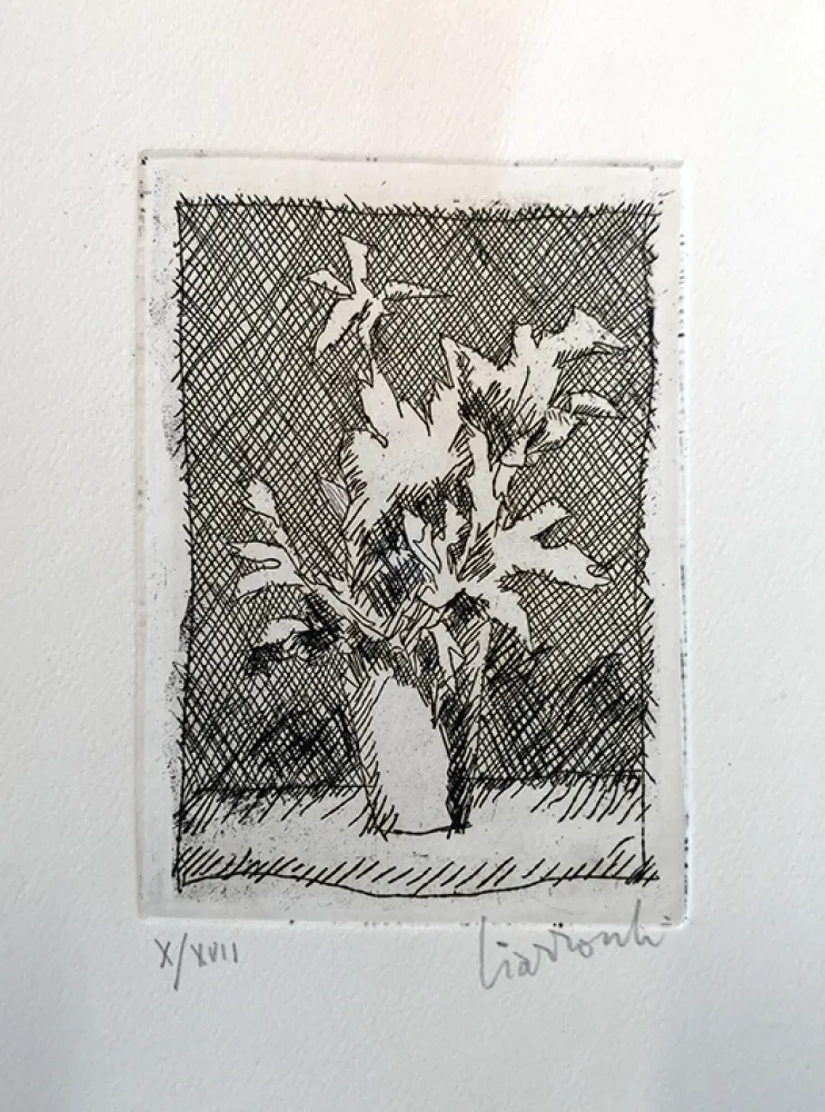 Água-Forte Ciarrocchi - Fiori