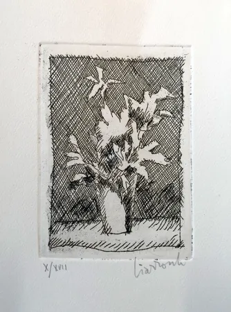 Água-Forte Ciarrocchi - Fiori