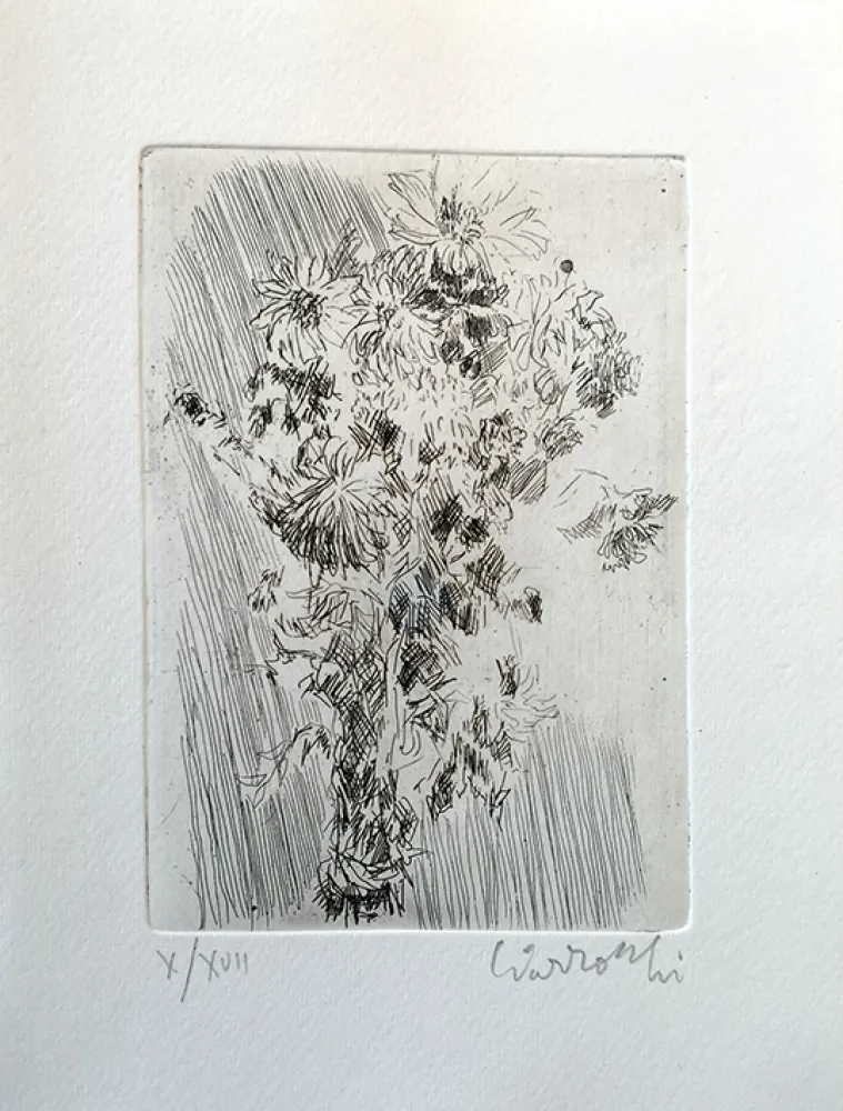Água-Forte Ciarrocchi - Mazzo di fiori