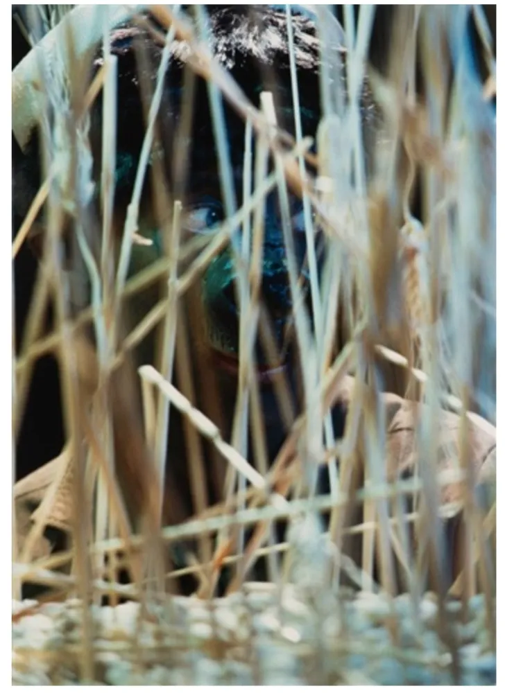 Fotografia Cindy - Untitled (from The Portfolio for Joseph Beuys)