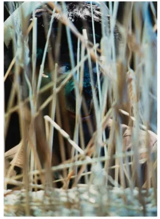 Fotografia Cindy - Untitled (from The Portfolio for Joseph Beuys)