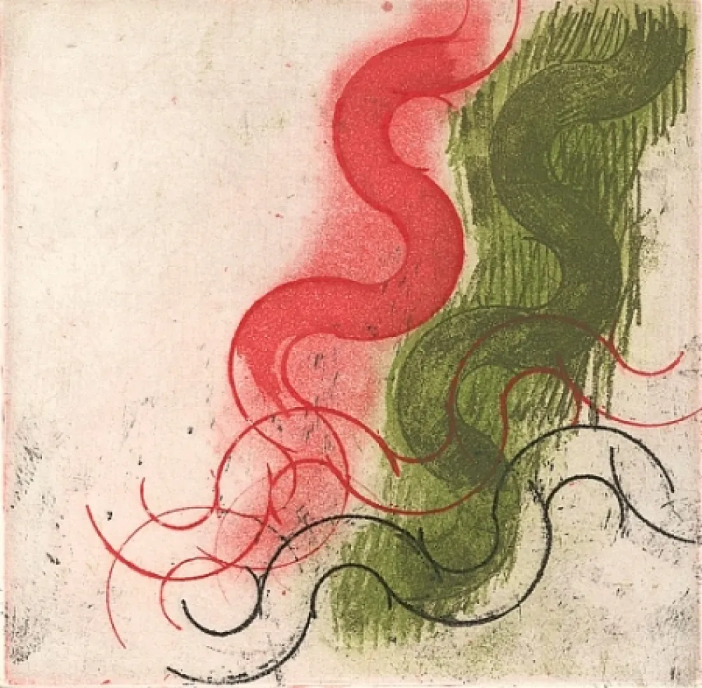 Livro Ilustrado Ciussi - Es - fragmenta