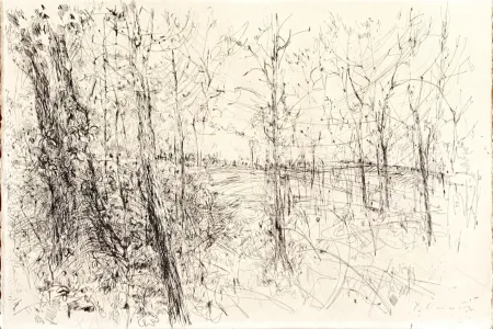 Água-Forte Commère - A la lisière des bois