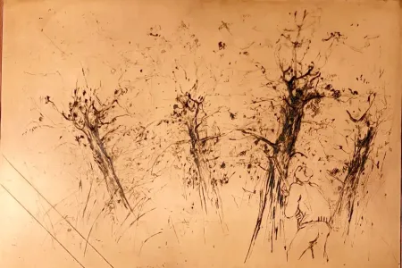 Sem Técnica Commère - Chasseur à l'affût