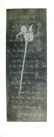 Água-Forte E Água-Tinta Conte - El lenguaje de las flores I