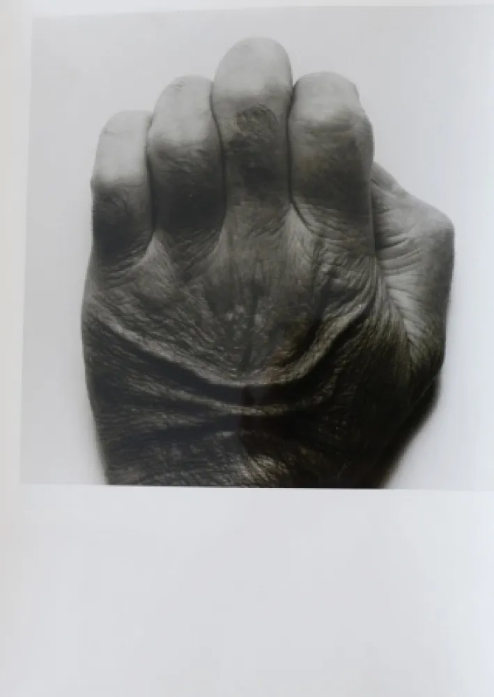 Fotografia Coplans - Selfportrait back of hand