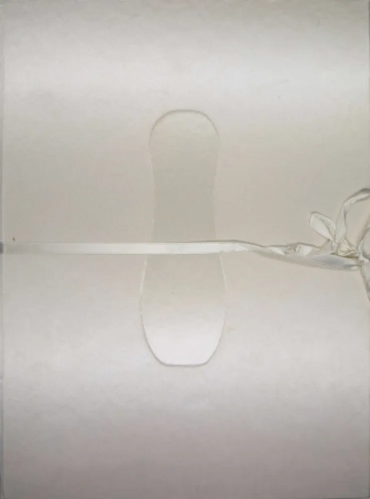 Livro Ilustrado Cormenzana - Pas de dansa