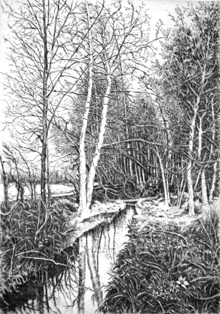 Água-Forte Cotugno  - Autunno