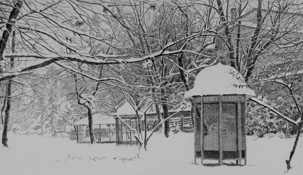 Água-Forte Cotugno  - Gennaio. Isola Carolina