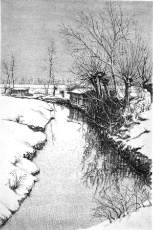 Água-Forte Cotugno  - Il Sillaro