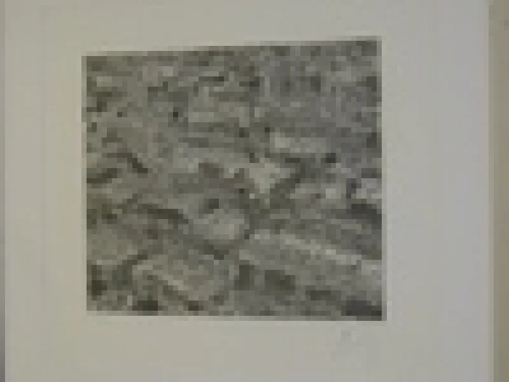 Gravura Cragg - Traffic