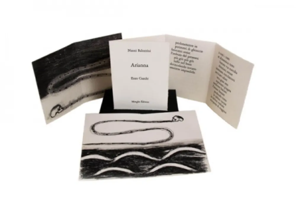 Livro Ilustrado Cucchi - Arianna