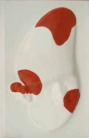 Livro Ilustrado Cucchi - La grande scimmia