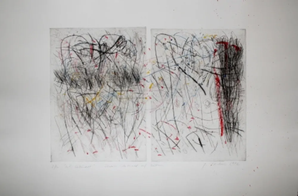 Ponta-Seca Czichon - O.I. Gebündelt