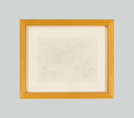 Sem Técnica Dadamaino - In luogo del bianco e del nero (Costellazioni)