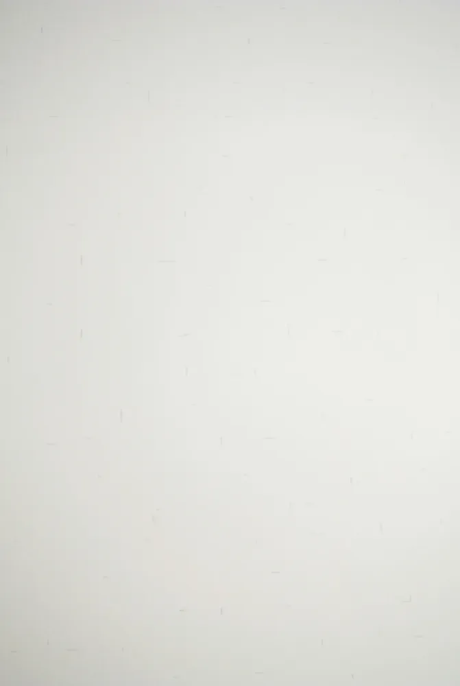 Litografia Dadamaino - Senza titolo