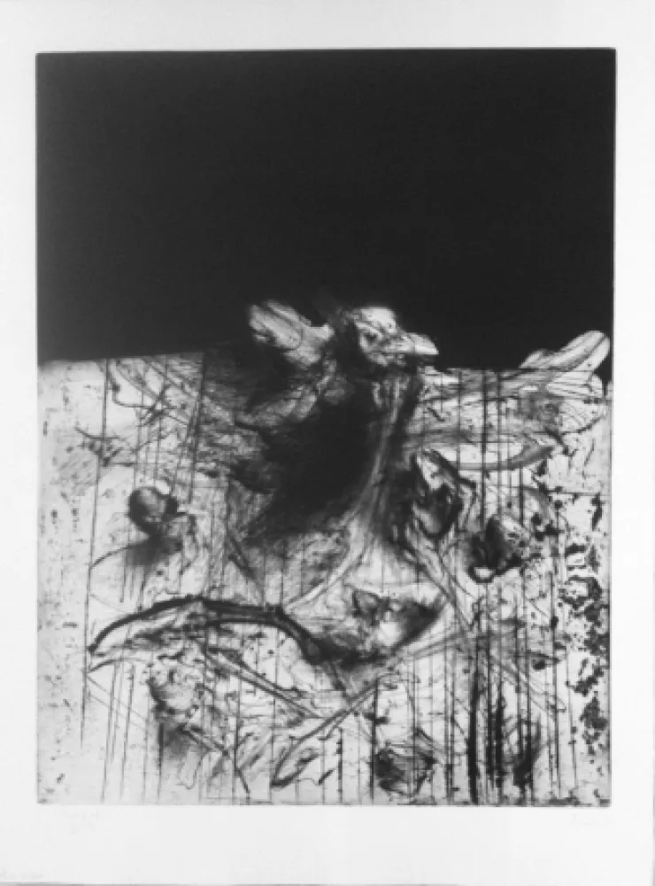 Gravura Dado - Sans titre