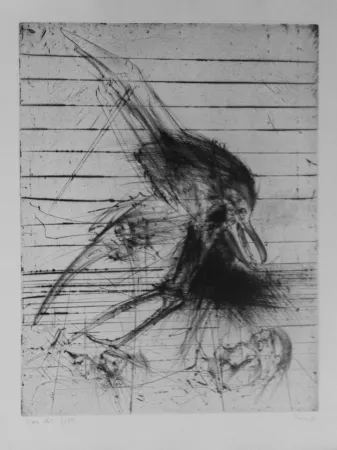 Gravura Dado - Sans titre