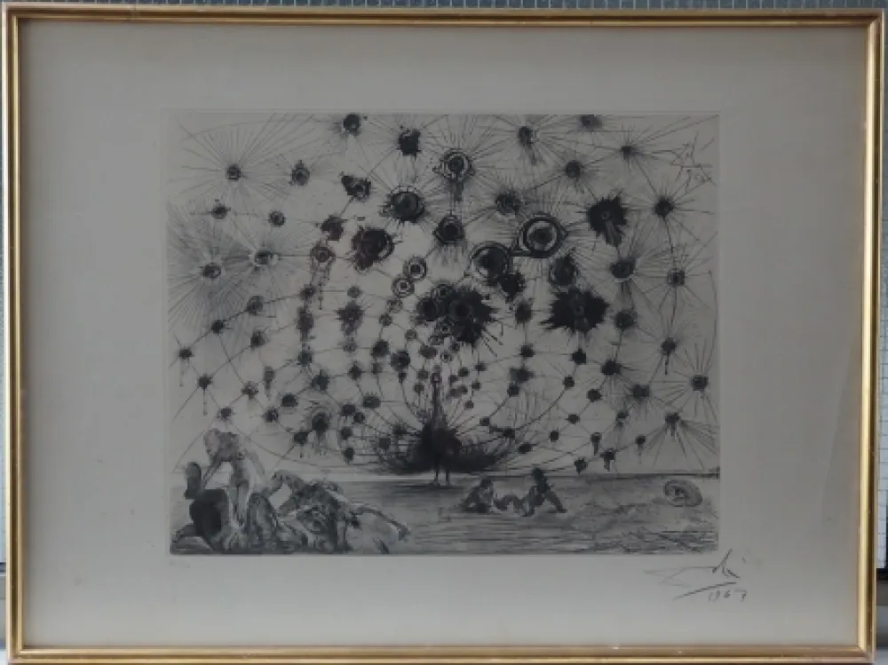 Água-Forte E Água-Tinta Dali - Argus