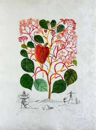 Ponta-Seca Dali - Begonia (Anacardium recordans)