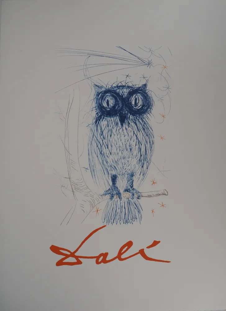 Litografia Dali - Chouette bleue