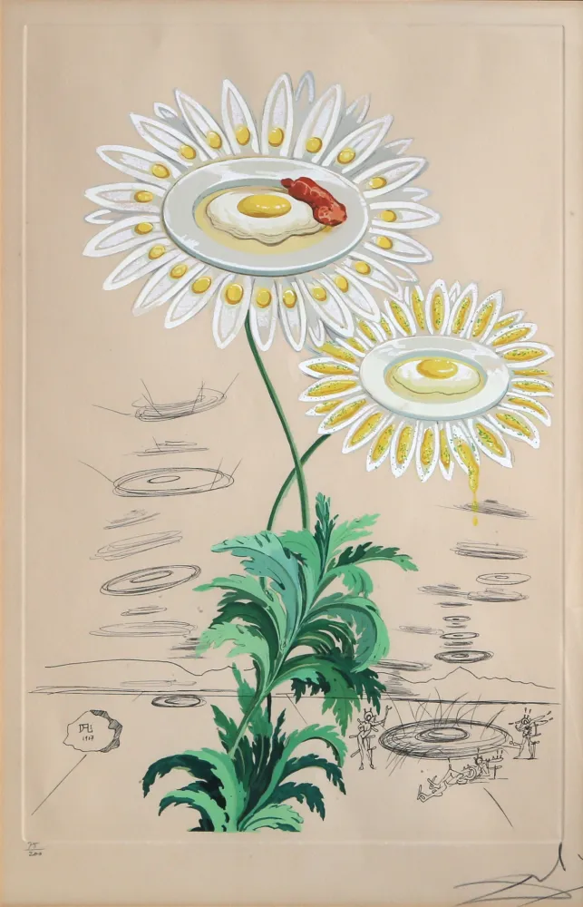Gravura Dali - Chrysanthemum Frutescens