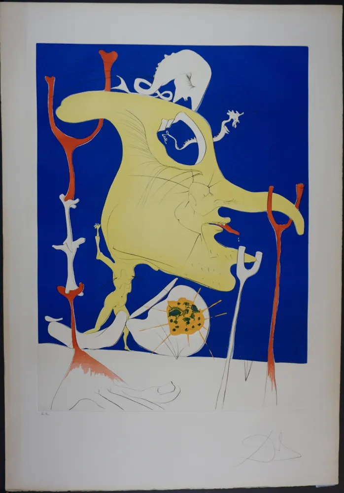 Gravura Dali - Cnquest of Cosmos The Last Comer of The Last Planet