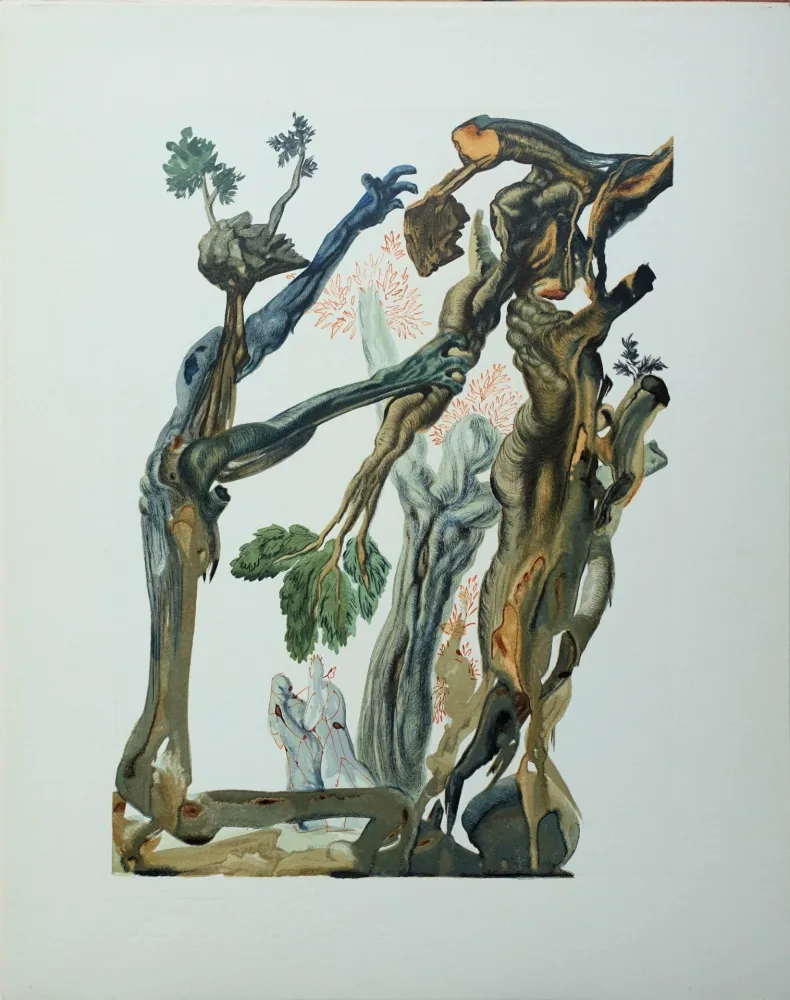 Xilogravura Dali - Divine Comédie, Enfer 13, La forêt des suicidés