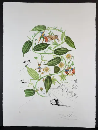 Gravura Dali - Flora Dalinae Passionflower