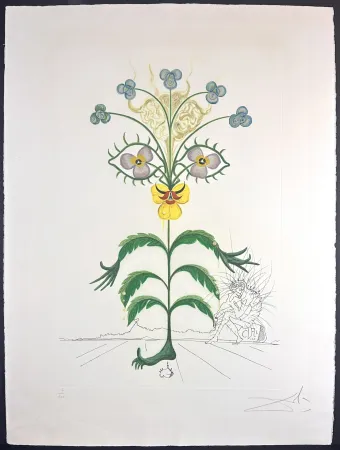 Gravura Dali - Flora Dalinae Viola Cogitans/Self-Portrait Pansy