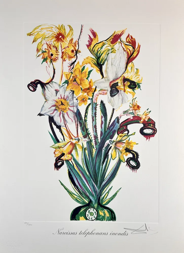 Gravura Dali - Florals Daffodils of Love