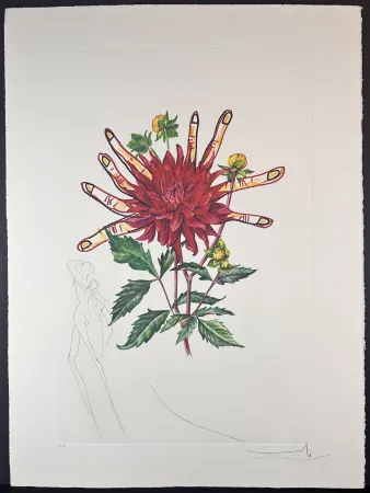Gravura Dali - Florals Dahlia (+ Fingers) Venus